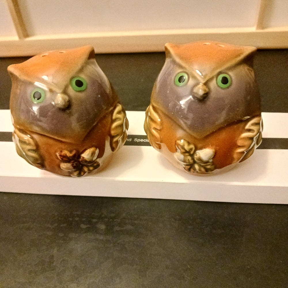 Salt and Pepper Shakers Owls Ceramics mcm